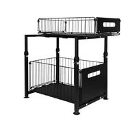 LANTUS Rangements sous Evier, Coulissant Tiroir Étagères pour Placard Meuble Cuisine Salle BainPanier Coulissan pour Cuisine, Garde-Manger, 29 x 38 x 49 cm (Noir)