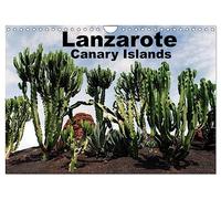 Lanzarote - Canary Islands (Wall Calendar 2026 DIN A4 landscape), CALVENDO 12 Month Wall Calendar: Fantastic Views