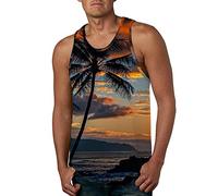 LAOSU Debardeur Amincissant Débardeur Musculation Homme De Marque A Capuche Coton Chair Invisible pour Style, 11-gris, L