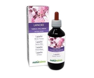 Lapacho ou Pau d'arco (Tabebuia avellanedae ou Tecoma curialis) écorce Teinture Mère sans alcool Naturalma - Extrait liquide gouttes 200 ml - Complément alimentaire - Végétalien ou végan