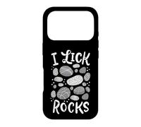 Lapidary Rock Collection Fossiles I Lick Rocks Géologue Coque pour iPhone 17 Pro