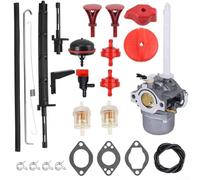 Lapiglo Carburateur pour souffleuse à neige pièces 794593 793161 Fit