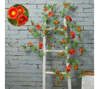 Lapiglo Guirlande de fleurs artificielles en PVC flexible à suspendre pour décoration de maison et de fenêtre - 1,85 m de long - 66 fleurs - 5 cm - Orange