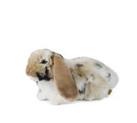 Lapin Bélier Brun