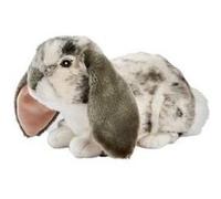 Lapin Belier Couche gris 30cm L Multicolore G
