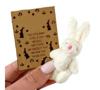 Lapin de Pâques en peluche et carte postale - Carte postale en peluche avec lapin de Pâques | Cartes postales amusantes pour la famille, les amis