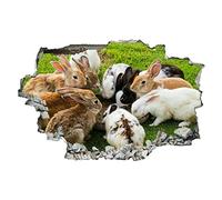 Lapin Décalque D'Art Mural, Herbe Autocollant De Décoration De Bordure Fissurée 3D, Ferme Autocollant Amovible En Vinyle Décoration Murale Pour Salon Chambre D'Enfant 50x75cm