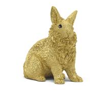 Lapin doré
