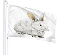 Lapin Drapeau 4x6 FT Lapin De Pâques Mignon Animal Lièvre Longues Oreilles Drapeaux Extérieurs Grand Bienvenue Yard Bannières Maison Jardin Cour Pelouse Décor