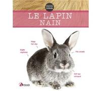 Lapin nain Collectif (Auteur)