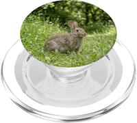 Lapin Prairie Wildlife Vert Herbe Forêt Scène PopSockets PopGrip pour MagSafe