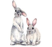 Lapins mignons dessins animés Stickers muraux chambre d'enfants décoration de la maison papier peint amovible salon chambre autocollantsOpération facile