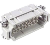 LAPP 10184400 Insert mâle EPIC® H-EE 32 Nombre total de pôles 32 + PE 5 pc(s)