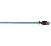 LAPP 2171091 RJ45 Câble réseau, câble patch 1 m 1 pc(s)