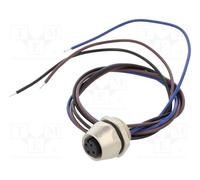 LAPP 381166925 Connecteur