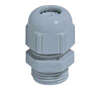 lapp Lapp Accessoire presse-étoupe SKINTOP ST Pg21 R7001 SGY Quantité:1