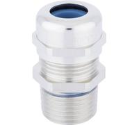 LAPP SKINTOP® COLD NPT-R 1/4'' 53113715 avec décharge de traction, résistant au froid, résistant aux UV 1 1/4\ laiton laiton