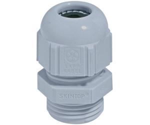 LAPP SKINTOP® ST-M 20x1.5 53111420 M20 Polyamide gris clair (RAL 7035)