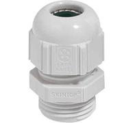 Lapp zubehör - glande sKINTOP St PG29 r9005 bK