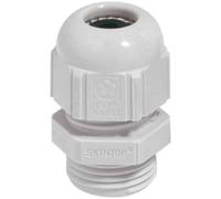 Lapp zubehör - glande sKINTOP St PG9 r7035 lGY