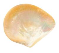 LAPYAPPE Assiette D'assaisonnement en Coquillage Unique, Plateau Décoratif Élégant en Nacre, Facile à Nettoyer, pour Boutique de Desserts ou Artisanat