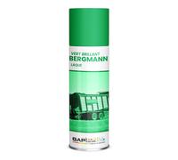 LAQUE BRILLANTE VERT BERGMANN 5KG