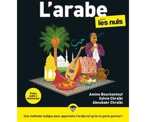 L'Arabe pour les Nuls, grand format, 3e éd Amine Bouchentouf (Auteur), Sylvie Chraïbi (Auteur), Rich Tennant (Illustration)