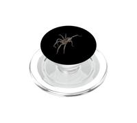 L'araignée Loup PopSockets PopGrip pour MagSafe