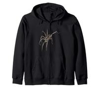 L'araignée Loup Sweat à Capuche