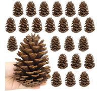 Larber 24 pièce Gros Pommes de pin, 11-14cm Pomme de pin Naturel Pomme de Noel pour l'artisanat Sapin de Noël Table Remplissage de Vase Ornements d'hiver (Inodores)