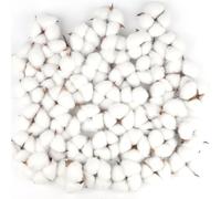 Larber 50 pcs Fleurs de Tête de Coton Naturelle Fleurs de Tête de Coton séchées Décoration de tête en Coton Naturel für Die perfekte Hochzeit Blumen Arrangements Heim Decor DIY Dekoration Home Party