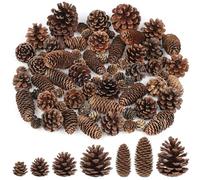 Larber 65 Pièces Pommes de Pin de Noël Grand et Moyen Mini Mélange Pommes de Pin Naturel en Vrac pour Bricolage à la Main Mariage Sapin de Noël Automne Hiver Décoration Familiale
