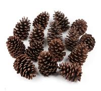 Larber Lot de 12 grandes pommes de pin de 8 à 12 cm pour travaux manuels, sapin de Noël, table, vase, décorations d'hiver (non parfumées)