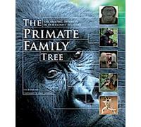L'arbre généalogique des primates : L'étonnante diversité de nos plus proches parents