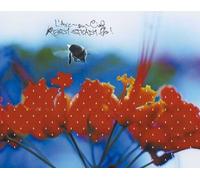 L'Arc-en-Ciel - Ready Steady Go