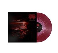 Larcenia roe - Dereliction