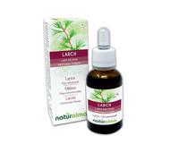 Larch ou Mélèze (Larix decidua) Fleurs émotionnelles ou Fleurs de Bach Naturalma - Gouttes 30 ml - Extrait liquide sans alcool - Essences florales - Vegan