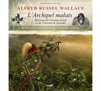 L'archipel malais - Berceay de l'orang-outan et de l'oiseau de paradis - Récit de voyage avec des ét
