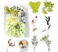 LaresDay Kit de fleurs séchées pour bricolage - Décoration naturelle pour bougies, mariage et scrapbooking avec fleurs séchées, bricolage, décoration d'intérieur, emballage cadeau, 100 % fleurs