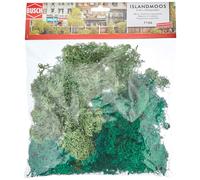 Busch Mousse d'Île 7106 – Lichen vert 150 g Clair/Foncé