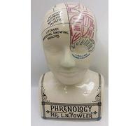 Large Ceramic Crackle Phrenology Head