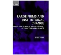 Large Firms And Institutional Change