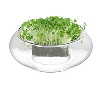 Large Jardinière Grand Vase Rond en Verre Transparent
