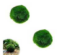 Large Live Moss Balls Decorative - Green Decorative, Natural Aquarium Plants Handmade Ball Vase Fillers for Fish Tank Decor & Ecological Bottles (2 Pcs)