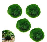 Large Live Moss Balls Decorative - Green Decorative, Natural Aquarium Plants Handmade Ball Vase Fillers for Fish Tank Decor & Ecological Bottles (4 Pcs)