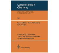 Large Order Perturbation Theory And Summation Methods In Quantum Mechanics