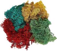 Busch Végétation modélisme 7105 - Gros assortiment de lichens 5 couleurs pour train