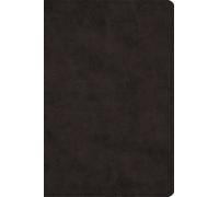 Large Print Bible-Esv