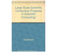 Large Scale Scientific Computing