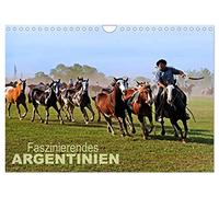 L'Argentine, un pays fascinant, Version française (Calendrier mural 2026 DIN A4 portrait), Calendrier CALVENDO mensuel